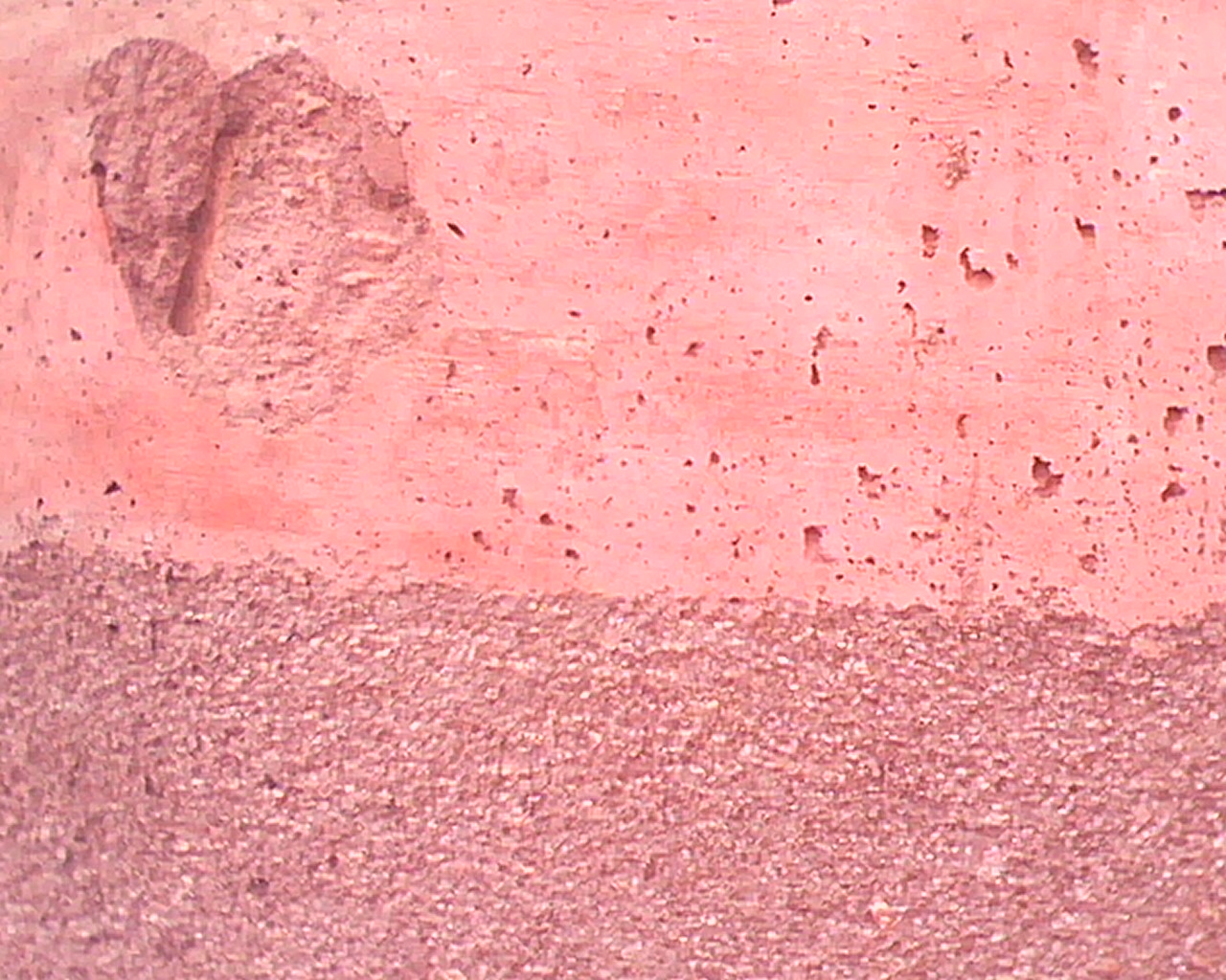 ��ëǰ����ë��C40��