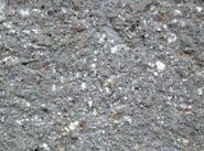 C40������ sc-11��ëЧ��ͼ